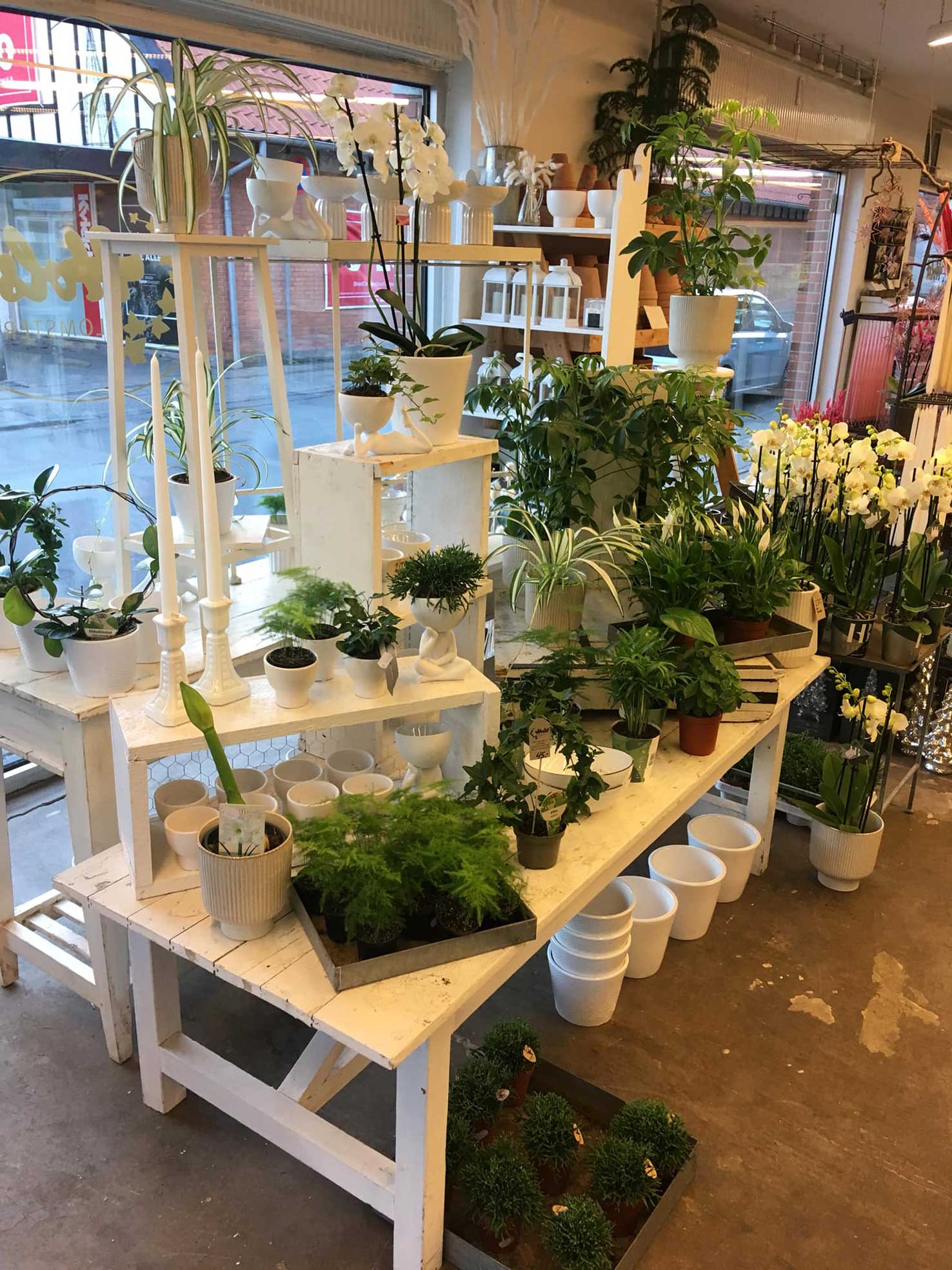 Holst-butik