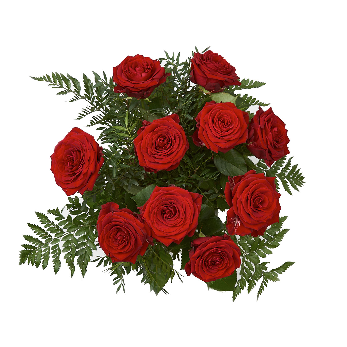 holstblomster.dk-00521